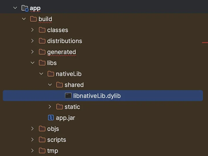 Native library in path